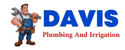 Trusted plumber in TOM BEAN